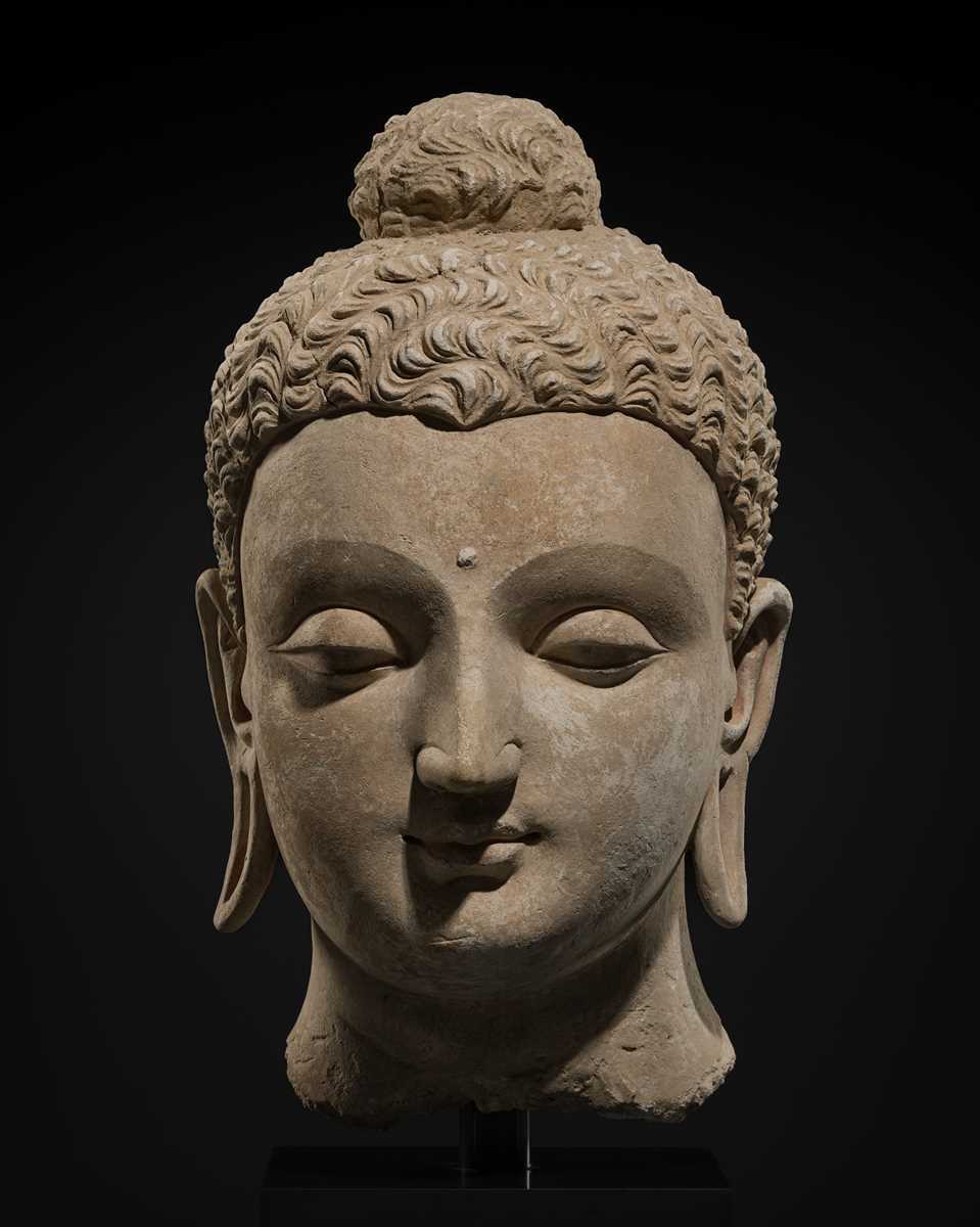 Lot 235 - A MAGNIFICENTLY MODELED OVER-LIFESIZE STUCCO HEAD OF BUDDHA, ANCIENT REGION OF GANDHARA, 3RD TO 4TH CENTURY