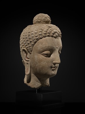 Lot 235 - A MAGNIFICENTLY MODELED OVER-LIFESIZE STUCCO HEAD OF BUDDHA, ANCIENT REGION OF GANDHARA, 3RD TO 4TH CENTURY