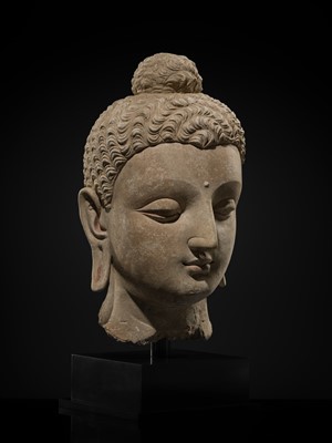Lot 235 - A MAGNIFICENTLY MODELED OVER-LIFESIZE STUCCO HEAD OF BUDDHA, ANCIENT REGION OF GANDHARA, 3RD TO 4TH CENTURY