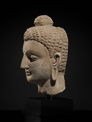 Lot 235 - A MAGNIFICENTLY MODELED OVER-LIFESIZE STUCCO HEAD OF BUDDHA, ANCIENT REGION OF GANDHARA, 3RD TO 4TH CENTURY