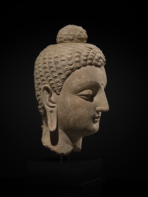 Lot 235 - A MAGNIFICENTLY MODELED OVER-LIFESIZE STUCCO HEAD OF BUDDHA, ANCIENT REGION OF GANDHARA, 3RD TO 4TH CENTURY