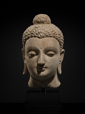 Lot 235 - A MAGNIFICENTLY MODELED OVER-LIFESIZE STUCCO HEAD OF BUDDHA, ANCIENT REGION OF GANDHARA, 3RD TO 4TH CENTURY