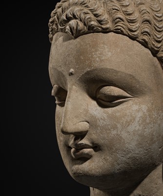Lot 235 - A MAGNIFICENTLY MODELED OVER-LIFESIZE STUCCO HEAD OF BUDDHA, ANCIENT REGION OF GANDHARA, 3RD TO 4TH CENTURY