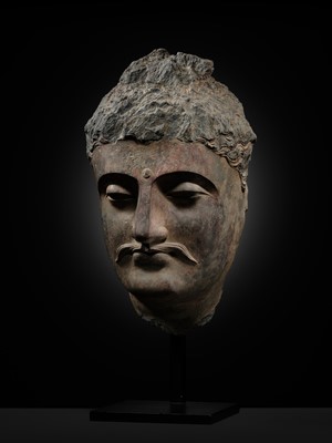 A LARGE GRAY SCHIST HEAD OF BUDDHA SHAKYAMUNI, ANCIENT REGION OF GANDHARA, 1ST-4TH CENTURY