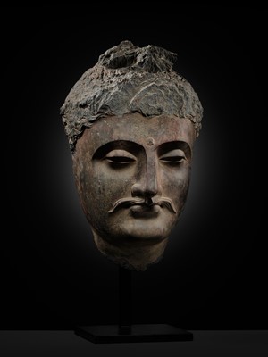 A LARGE GRAY SCHIST HEAD OF BUDDHA SHAKYAMUNI, ANCIENT REGION OF GANDHARA, 1ST-4TH CENTURY
