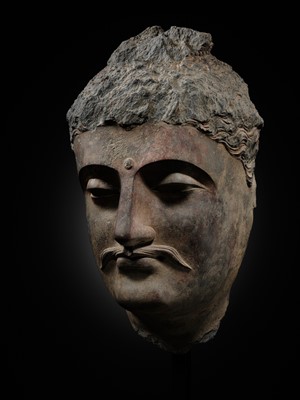 A LARGE GRAY SCHIST HEAD OF BUDDHA SHAKYAMUNI, ANCIENT REGION OF GANDHARA, 1ST-4TH CENTURY