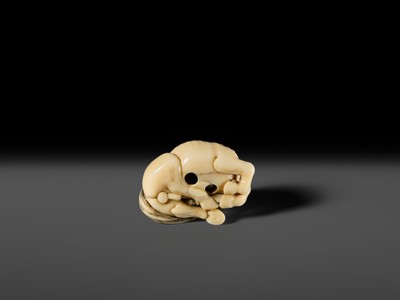 Lot 111 - JOEI: A SUPERB MARINE IVORY NETSUKE OF A RECLINING HORSE