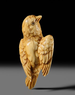 Lot 364 - A RARE MARINE TUSK NETSUKE OF A FLYING SPARROW