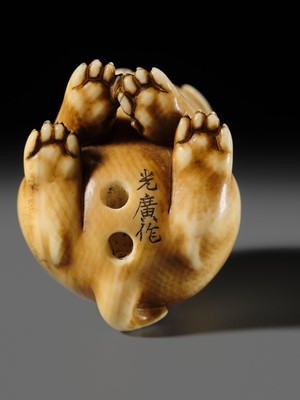Lot 145 - MITSUHIRO: A FINE OSAKA SCHOOL IVORY NETSUKE OF A PUPPY AND DRAGONFLY