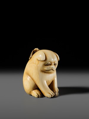 Lot 145 - MITSUHIRO: A FINE OSAKA SCHOOL IVORY NETSUKE OF A PUPPY AND DRAGONFLY