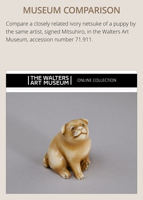 Lot 145 - MITSUHIRO: A FINE OSAKA SCHOOL IVORY NETSUKE OF A PUPPY AND DRAGONFLY