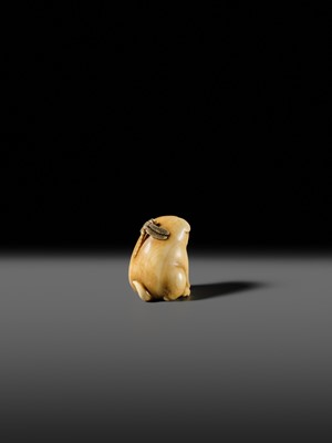 Lot 145 - MITSUHIRO: A FINE OSAKA SCHOOL IVORY NETSUKE OF A PUPPY AND DRAGONFLY