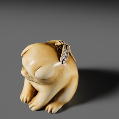 Lot 145 - MITSUHIRO: A FINE OSAKA SCHOOL IVORY NETSUKE OF A PUPPY AND DRAGONFLY