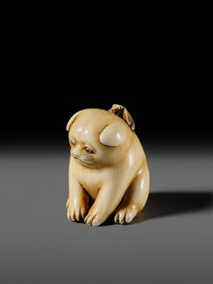 Lot 145 - MITSUHIRO: A FINE OSAKA SCHOOL IVORY NETSUKE OF A PUPPY AND DRAGONFLY