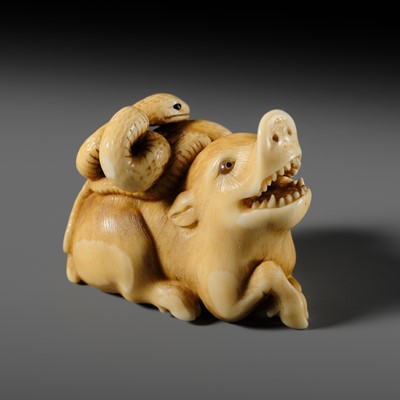 Lot 115 - RANTEI: A SUPERB IVORY NETSUKE OF A BOAR AND SNAKE