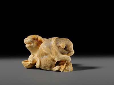 Lot 121 - OKATOMO: A CHARMING IVORY NETSUKE OF TWO PUPPIES WITH AWABI