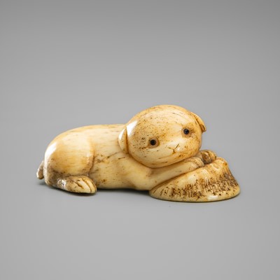 A CHARMING BONE NETSUKE DEPICTING A PUPPY WITH AN AWABI