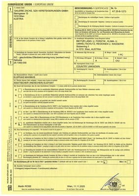 Lot 150 - KAIGYOKUSAI: A MASTERFUL IVORY NETSUKE OF TWO RATS