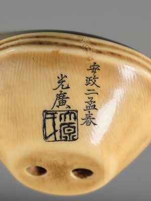 OHARA MITSUHIRO: A SUPERB IVORY NETSUKE OF A SEA BREAM HEAD IN A SURIBACHI (MORTAR), DATED 1855