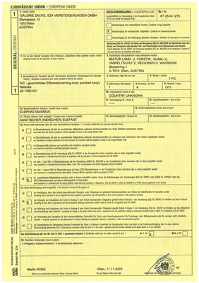 OHARA MITSUHIRO: A SUPERB IVORY NETSUKE OF A SEA BREAM HEAD IN A SURIBACHI (MORTAR), DATED 1855
