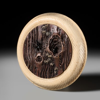 Lot 360 - OZAWA SHURAKU: A FINE IVORY AND SUAKA KAGAMIBUTA DEPICTING ANTS CRAWLING THROUGH TREE BARK