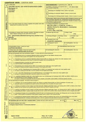 Lot 151 - IKKU: A MASTERFUL IVORY NETSUKE OF AN EAGLE