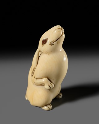 Lot 118 - A CHARMING AND UNUSUAL IVORY NETSUKE OF A HARE