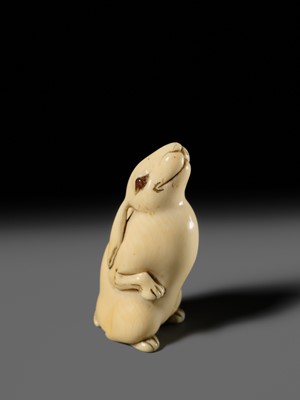 Lot 118 - A CHARMING AND UNUSUAL IVORY NETSUKE OF A HARE