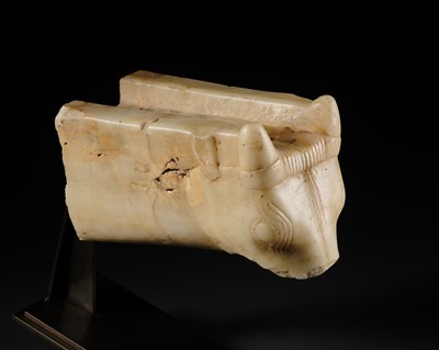 Lot 62 - AN ALABASTER BULL PROTOME SERVING AS WATERSPOUT, ANCIENT KINGDOMS OF SABA OR QATABAN