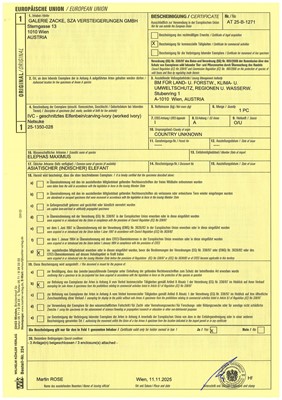 Lot 137 - SADATSUGU: A SUPERB IVORY NETSUKE OF INO HAYATA SLAYING THE NUE