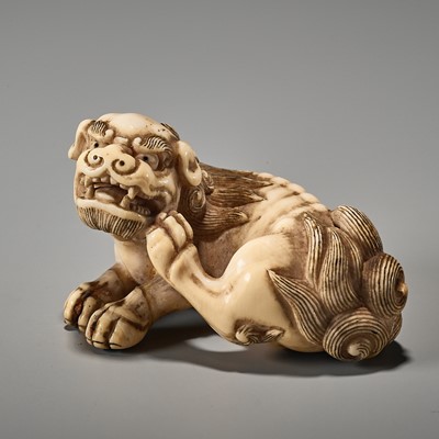 A POWERFUL KYOTO SCHOOL IVORY NETSUKE OF A SHISHI