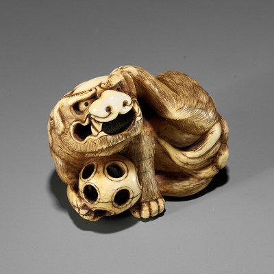 A LARGE IVORY NETSUKE OF A SHISHI LION WITH BALL, 18TH CENTURY