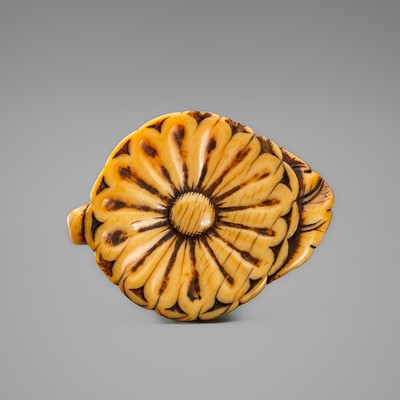 Lot 264 - A FINE IVORY NETSUKE OF A CHRYSANTHEMUM