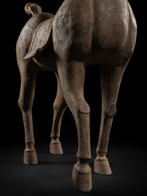 Lot 140 - A MONUMENTAL AND HIGHLY IMPORTANT SICHUAN POTTERY HORSE, HAN DYNASTY, THE LARGEST EVER RECORDED FROM THIS GROUP