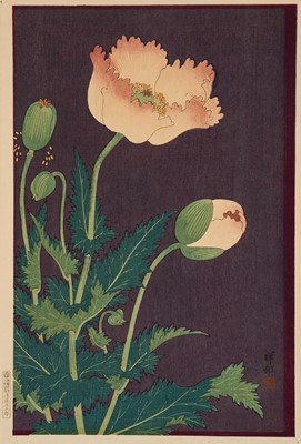 OHARA KOSON: POPPY FLOWER IN BLOOM