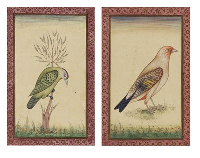 Lot 763 - A PAIR OF INDIAN MINIATURE PAINTINGS OF EXOTIC BIRDS