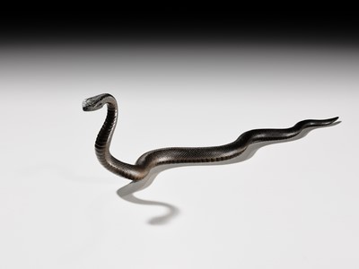 Lot 25 - AN EXCEPTIONAL AND RARE BRONZE OKIMONO OF A SNAKE