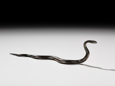Lot 25 - AN EXCEPTIONAL AND RARE BRONZE OKIMONO OF A SNAKE
