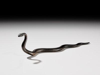 Lot 25 - AN EXCEPTIONAL AND RARE BRONZE OKIMONO OF A SNAKE