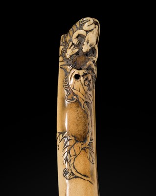 SEKKO: A FINE ANTLER ‘FROG AND INSECTS ON A BEAN POD’ KISERUZUTSU (PIPE CASE)