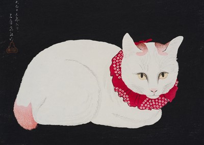 TAKAHASHI HIROAKI: WHITE CAT TAMA