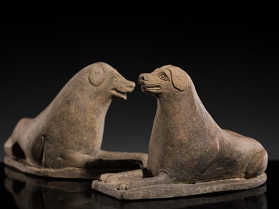 Lot 241 - A PAIR OF PAINTED GRAY POTTERY FIGURES OF SEATED HOUNDS, NORTHERN WEI DYNASTY