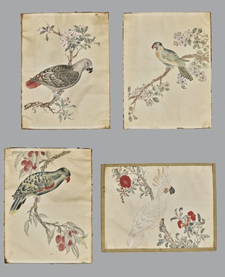FOUR PARROT PAINTINGS, QING