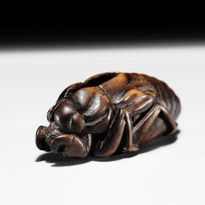 GYOKUSHI: A FINE WOOD NETSUKE OF A DISCARDED CICADA HUSK