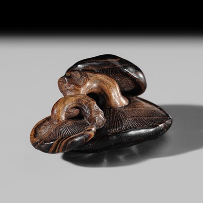 BAIKO: A RARE UMIMATSU NETSUKE OF A GROUP OF MUSHROOMS