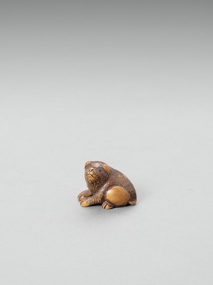 Lot 351 - MASANOBU: A YAMADA SCHOOL WOOD NETSUKE OF A PIEBALD PUPPY