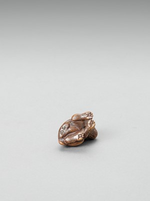 Lot 351 - MASANOBU: A YAMADA SCHOOL WOOD NETSUKE OF A PIEBALD PUPPY