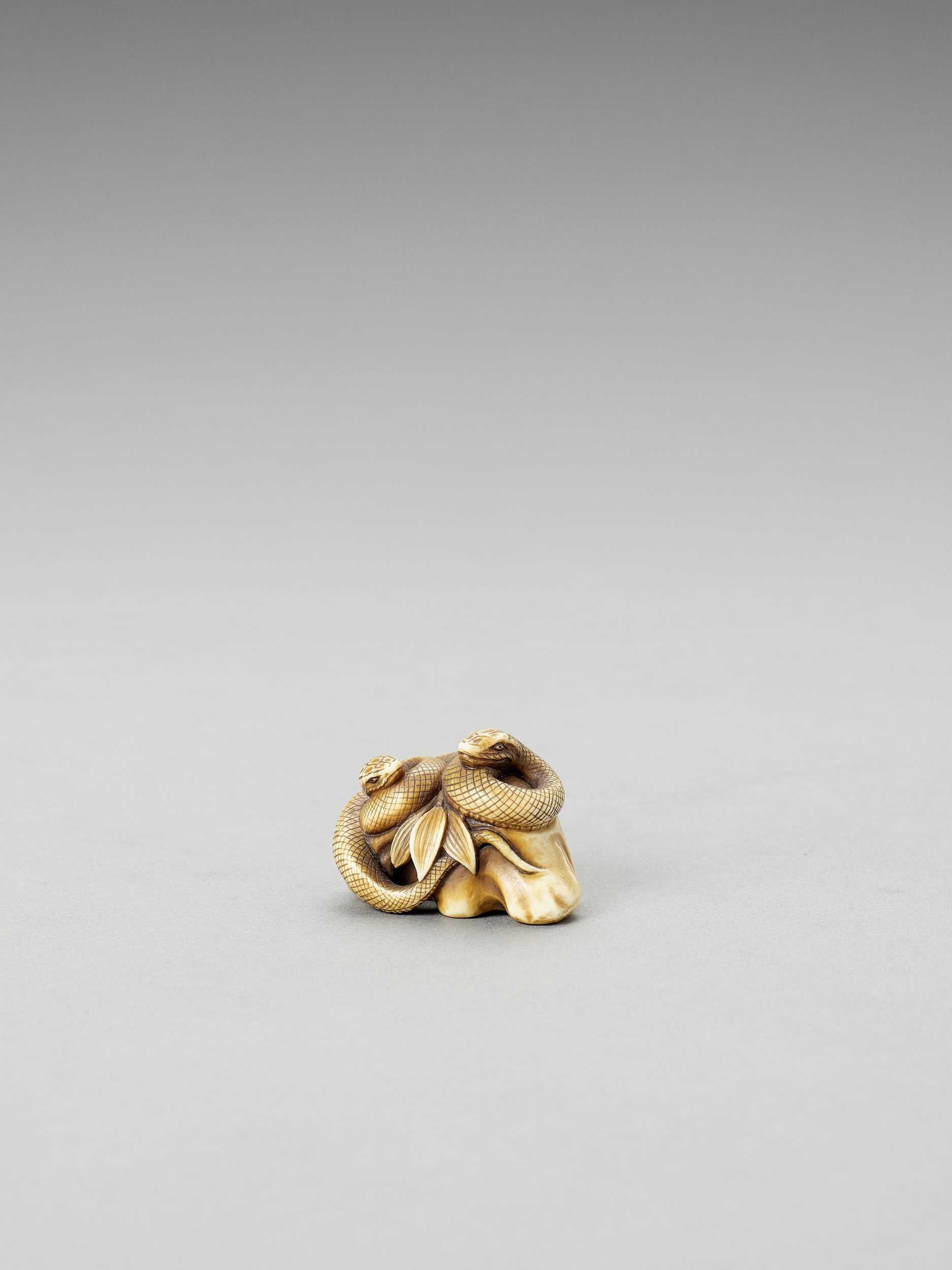 Lot 339 - MUNEMITSU: AN IVORY NETSUKE OF TWO COILED SNAKES
