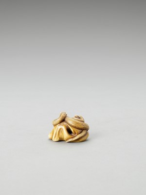 Lot 339 - MUNEMITSU: AN IVORY NETSUKE OF TWO COILED SNAKES