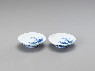 Lot 161 - A FINE PAIR OF CIRCULAR BLUE AND WHITE PORCELAIN DISHES
